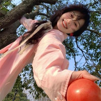 霹雳神探续集
